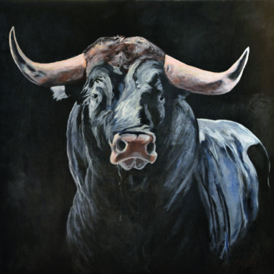 TORO90X90-VF TORO90X90-VF